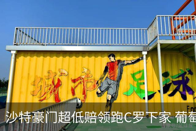 沙特豪门超低赔领跑C罗下家 葡萄牙球王下站已定?
