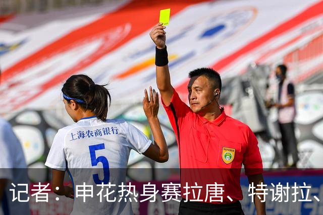 记者：申花热身赛拉唐、特谢拉、米内罗、刘诚宇没有出场